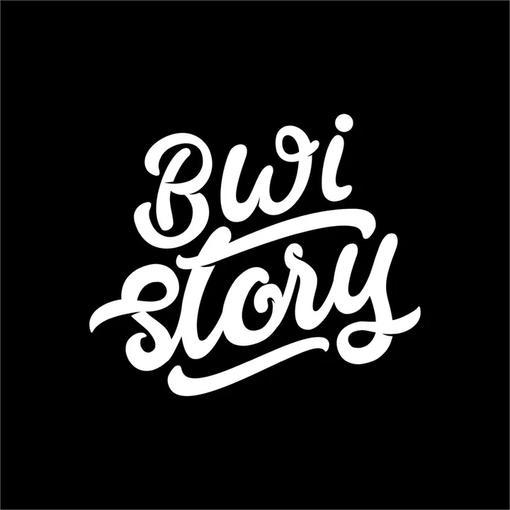 bwi.story