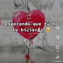 @junior.jose448