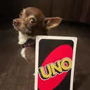 @poquitochico