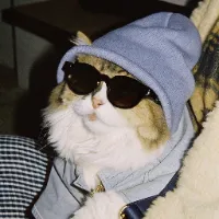 @whatnowclips