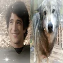 @sceofilms
