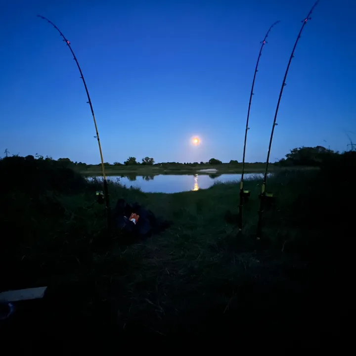 mr1carp123