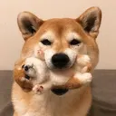 @yiwhfzhdr023