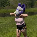 @malicecoyote