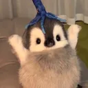 @_evelynjae