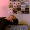 music_19987