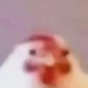 @patthehatt