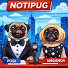 pogi.pug