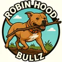 @robinhoodbullz