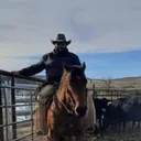 @larsonlivestock