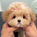 @prettyggie1