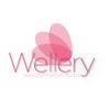 wellery.aerial.studio