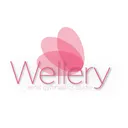 @wellery.aerial.studio