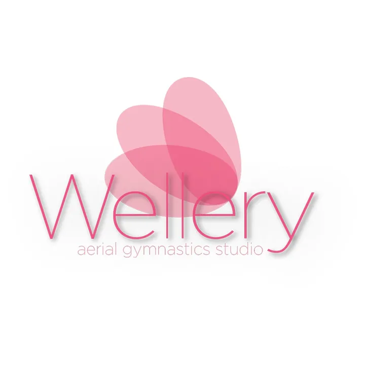 @wellery.aerial.studio
