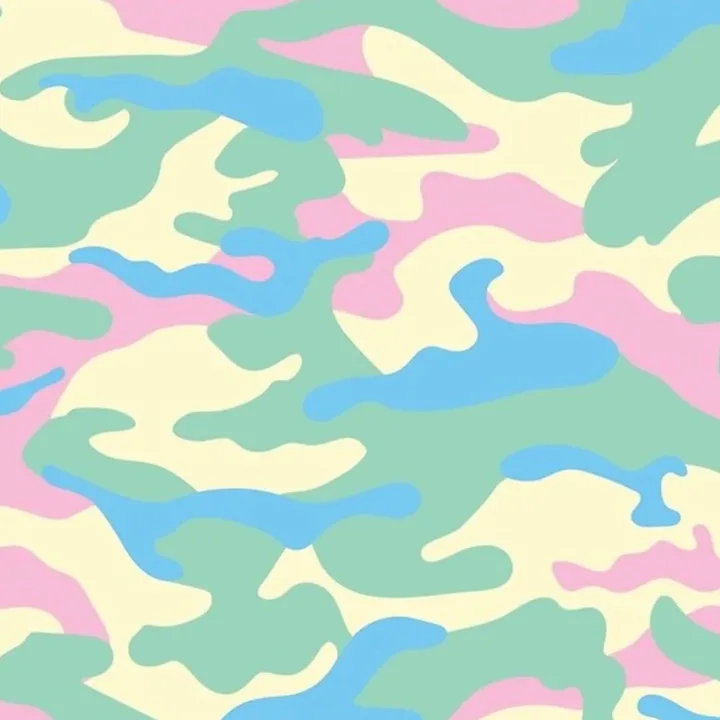 hippieflipp