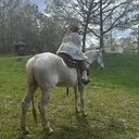 @billionaire_chardaye