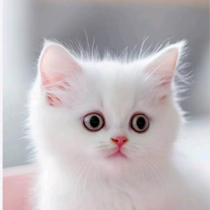 @fantastic7544