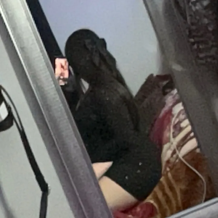 @michelleplascenci20