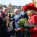 @belfastroyalwatcher