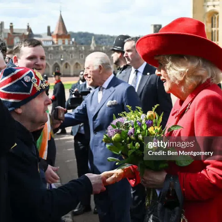 belfastroyalwatcher