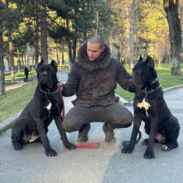@guardiani_di_lako