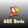 arkbirds
