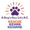 adogsnewlife