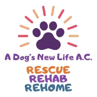 adogsnewlife