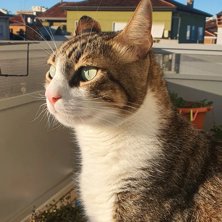 arturocat123
