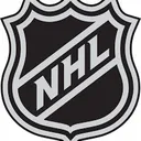 @hockey_usanhl