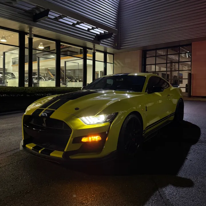 shelby_moe5.2