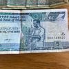 everythingaddis5