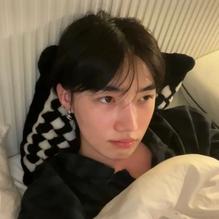 chanheefangirl