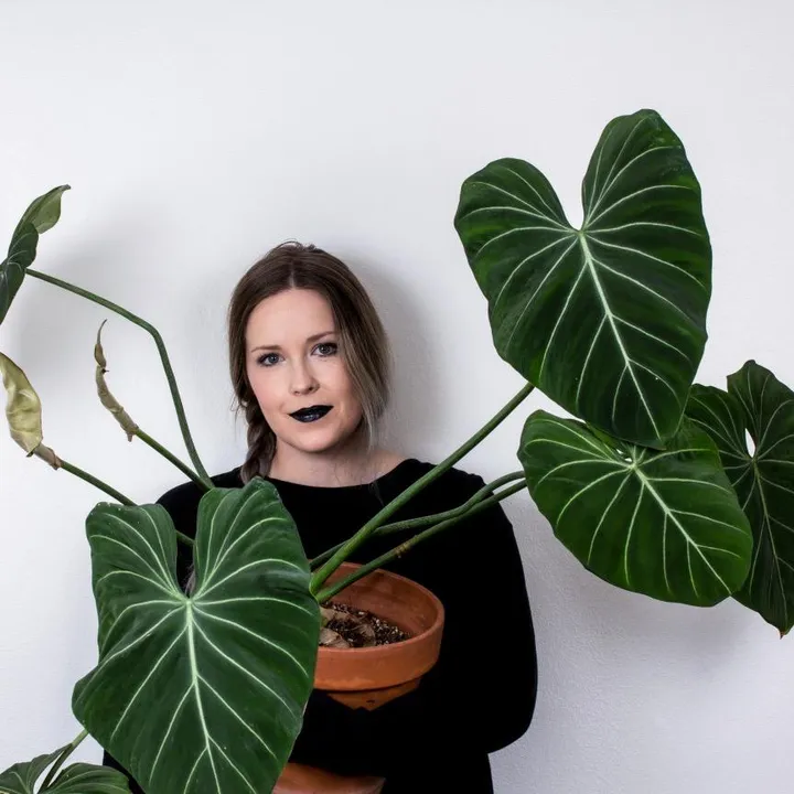 @texasplantcollective