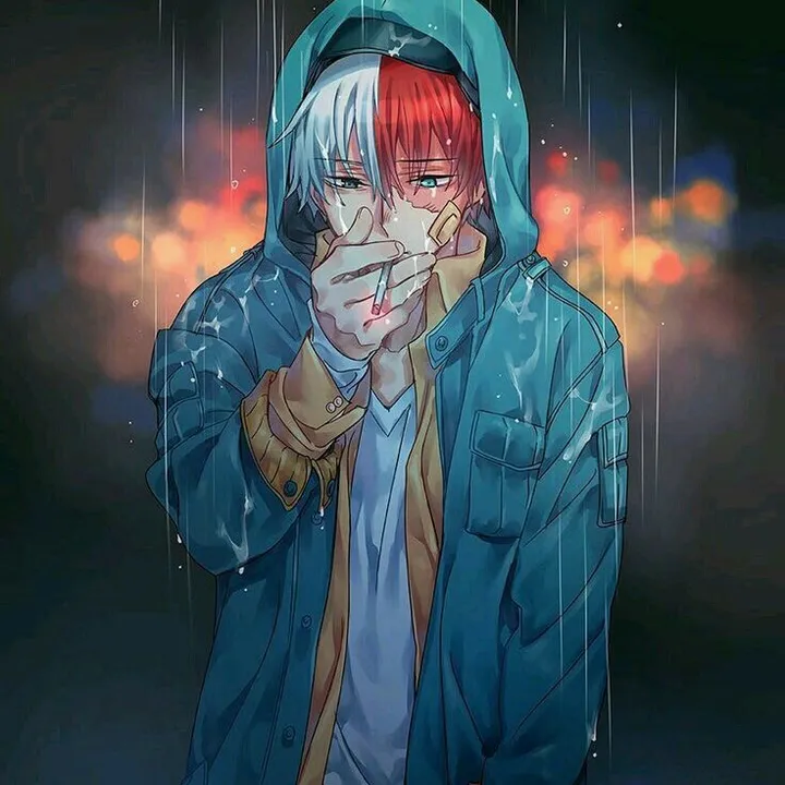 my.hero.academia.rp