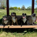 @1of1bulldogz