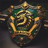 teamdragonoficial