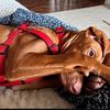 wigglebuttvizsla