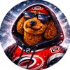 dexterwallendoodle