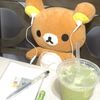 beary_aesthetic_