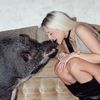 larisalazicc