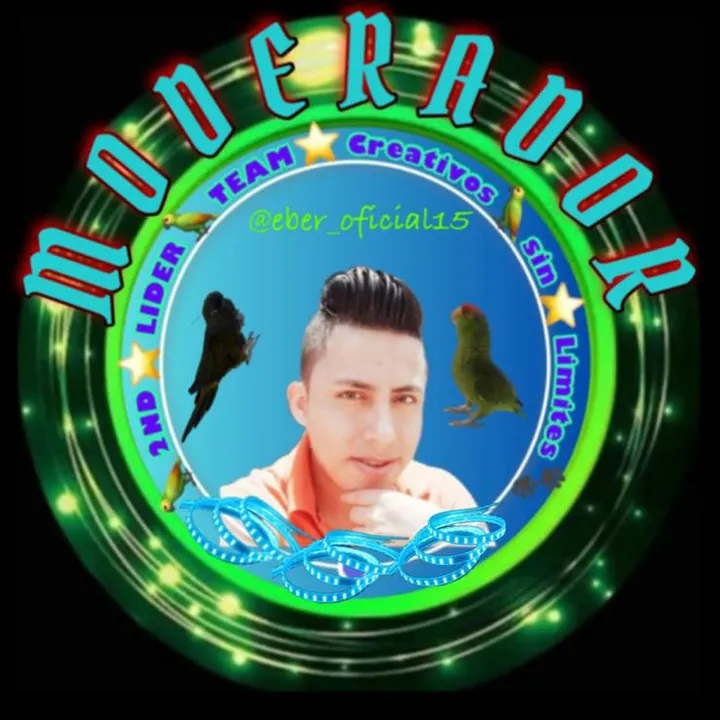 eber_oficial15