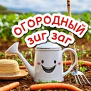 @ogorodozigzag