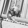 misscloverthelemur