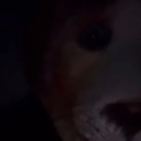 6.6.048