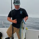 @matt.fishh