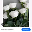 @user3692812796948