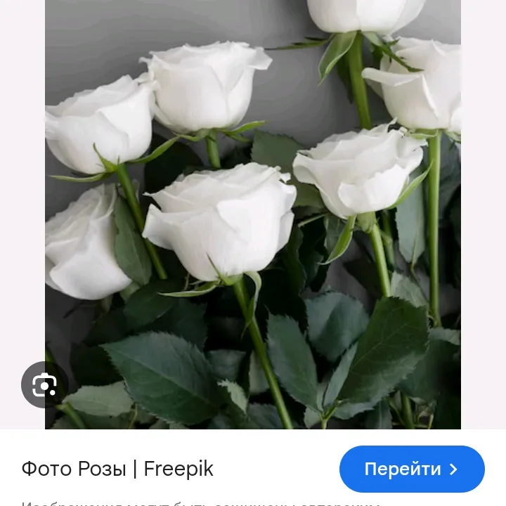@user3692812796948
