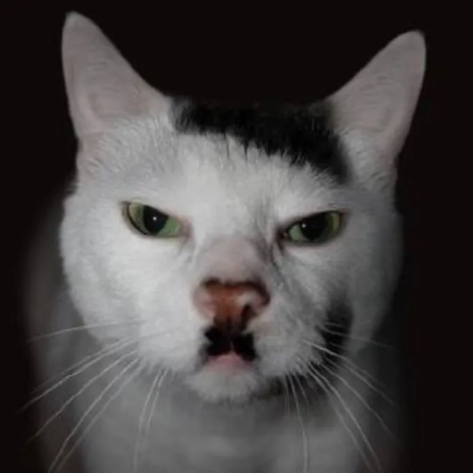 thegermancat3