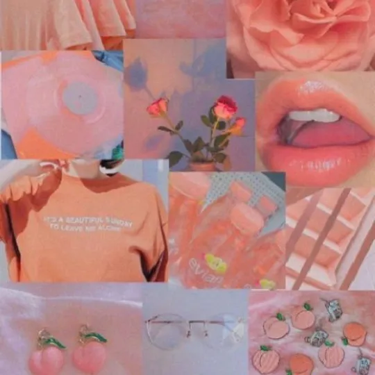 @aesthetic_animo